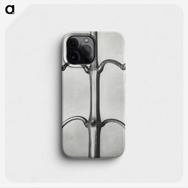 2-8_Karl-Blossfeldt_phone