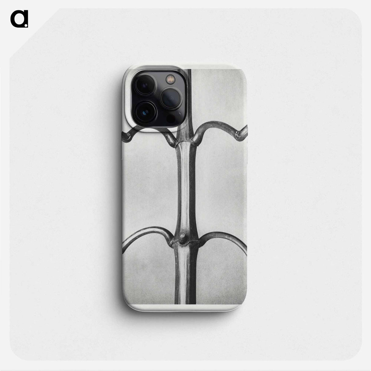 Impatiens Glanduligera - カール ブロスフェルト Phone Case.
