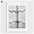 2-8_Karl-Blossfeldt_picture