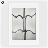 2-8_Karl-Blossfeldt_picture