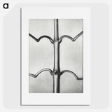 Impatiens Glanduligera - カール ブロスフェルト Poster.