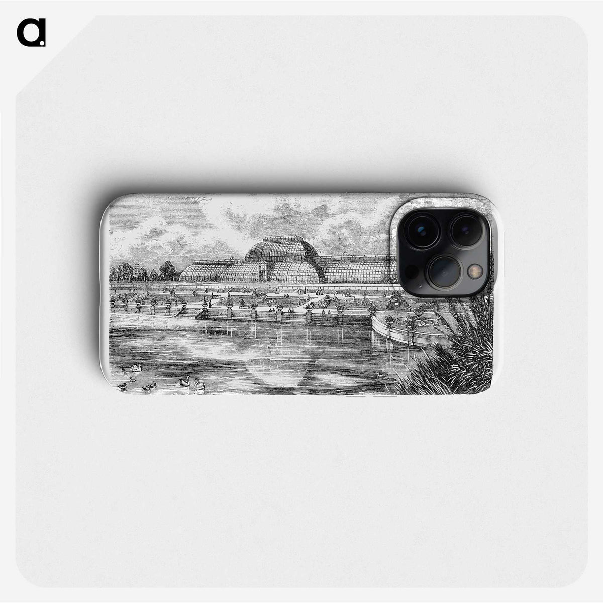 2-8_Les-Palmiers-Histoire-Iconographique_phone