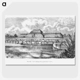 2-8_Les-Palmiers-Histoire-Iconographique_picture-crop