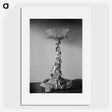 2-8_Leslie-Adkin_picture