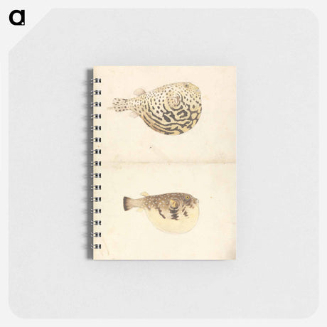 アートメモ帳-Two Blowfish
 - ルイージ バルガーニ Memo.