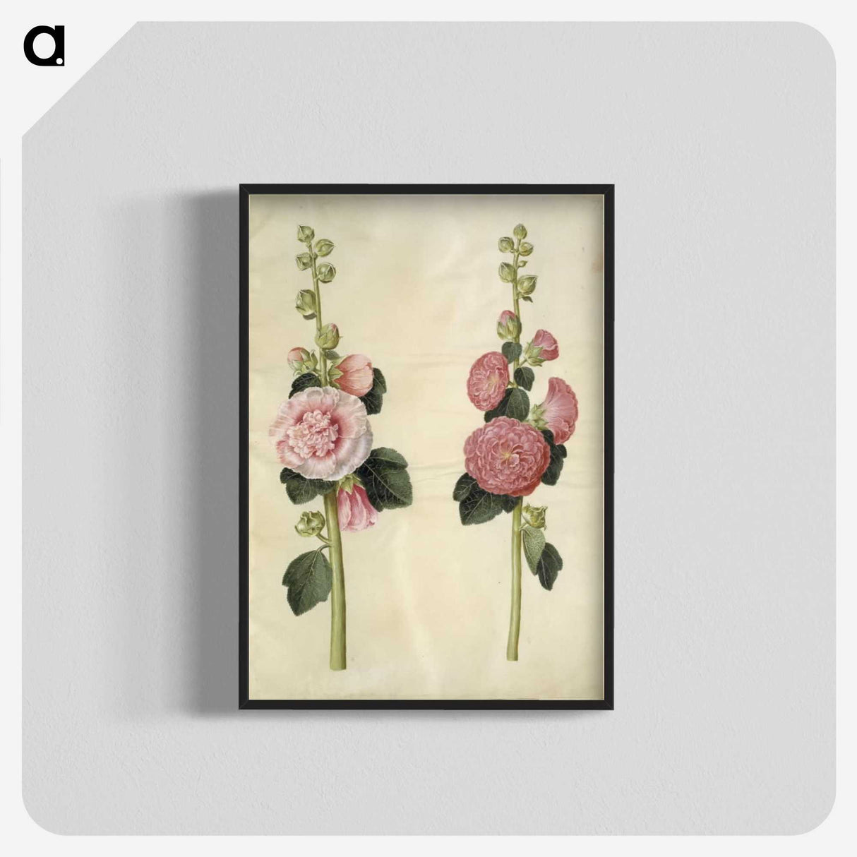 2-8_Maria-Sibylla-Merian_blk-crop