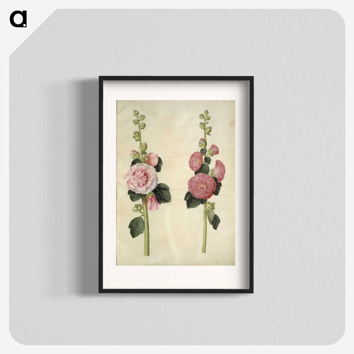 2-8_Maria-Sibylla-Merian_blk