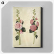 2-8_Maria-Sibylla-Merian_canvas