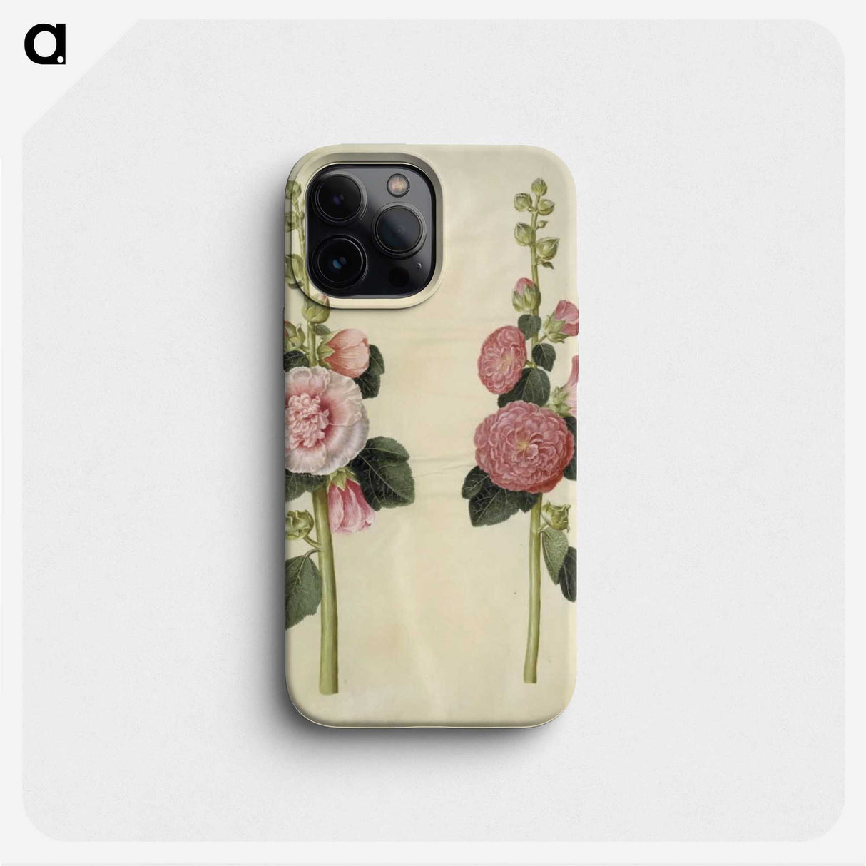 2-8_Maria-Sibylla-Merian_phone