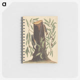 2-8_Mark-Catesby_memo