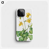 2-8_Mary-Vaux-Walcott_phone