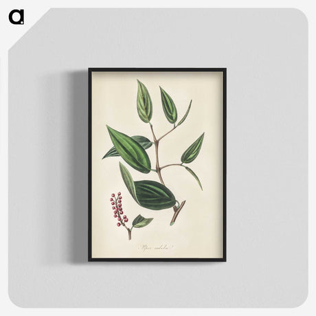 2-8_Medical-Botany_blk-crop