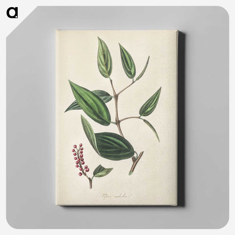 2-8_Medical-Botany_canvas