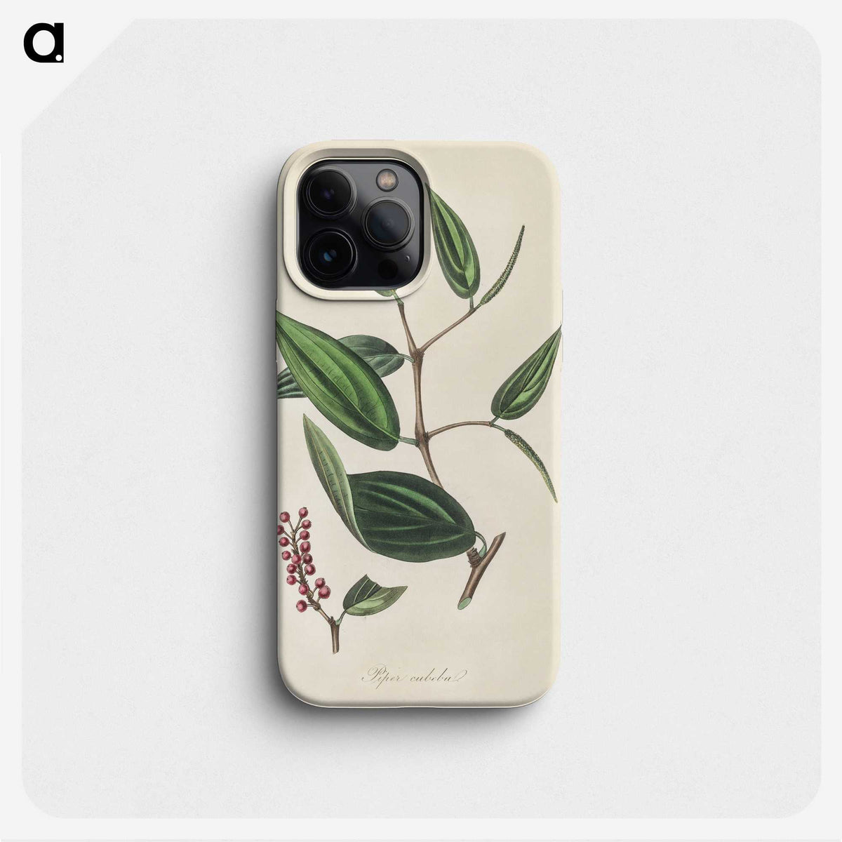 2-8_Medical-Botany_phone