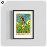アートポスター-Rango Sensed the Approach of a Hunter: Seek the Hunter
 - 国立医学図書館 Poster.