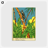2-8_National-Library-of-Medicine_postcard