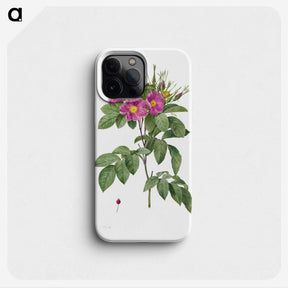 2-8_Pierre-Joseph-Redoute_phone