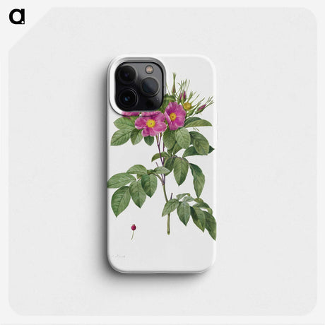 2-8_Pierre-Joseph-Redoute_phone