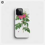 Pasture Rose - Pierre Joseph Redouté Phone Case.