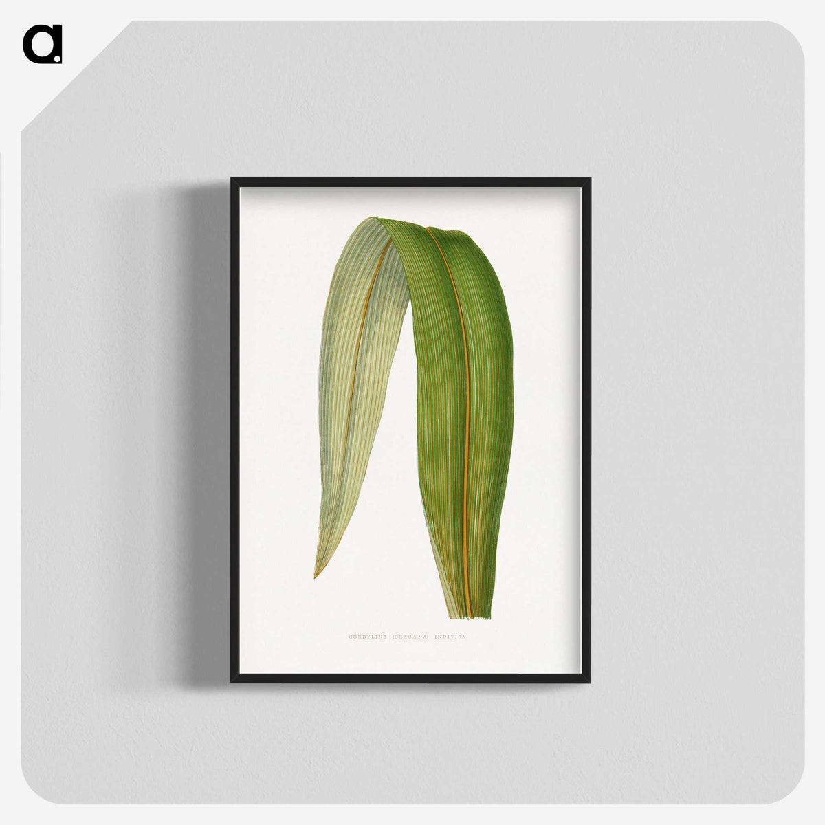 2-8_Plants-with-Colored-Foliage_blk-crop