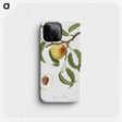 2-8_Pomona-Italiana_phone