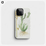 2-8_Robert-Jacob-Gordon_phone