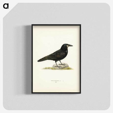 2-8_Svenska-Faglar_blk-crop