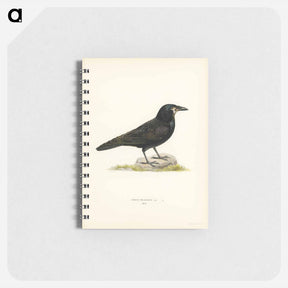 アートメモ帳-Rook (Corvus Frugilegus)
 - スヴェンスカ フォグラル Memo.