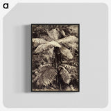 2-8_The-Burton-Brothers_blk-crop