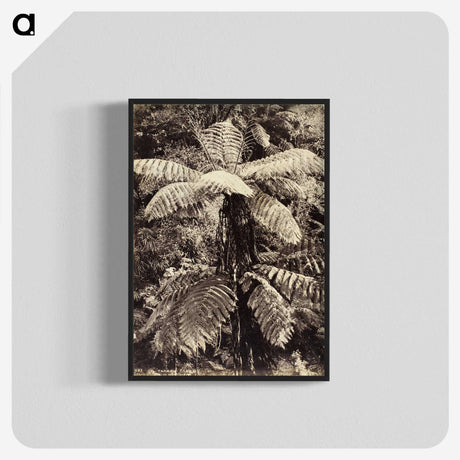 2-8_The-Burton-Brothers_blk-crop