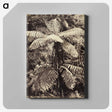 2-8_The-Burton-Brothers_canvas