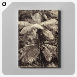 2-8_The-Burton-Brothers_canvas