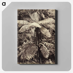 2-8_The-Burton-Brothers_canvas
