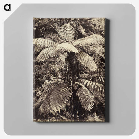 2-8_The-Burton-Brothers_canvas