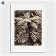 2-8_The-Burton-Brothers_picture