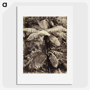 2-8_The-Burton-Brothers_picture