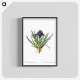 2-8_The-Lilies_blk-crop