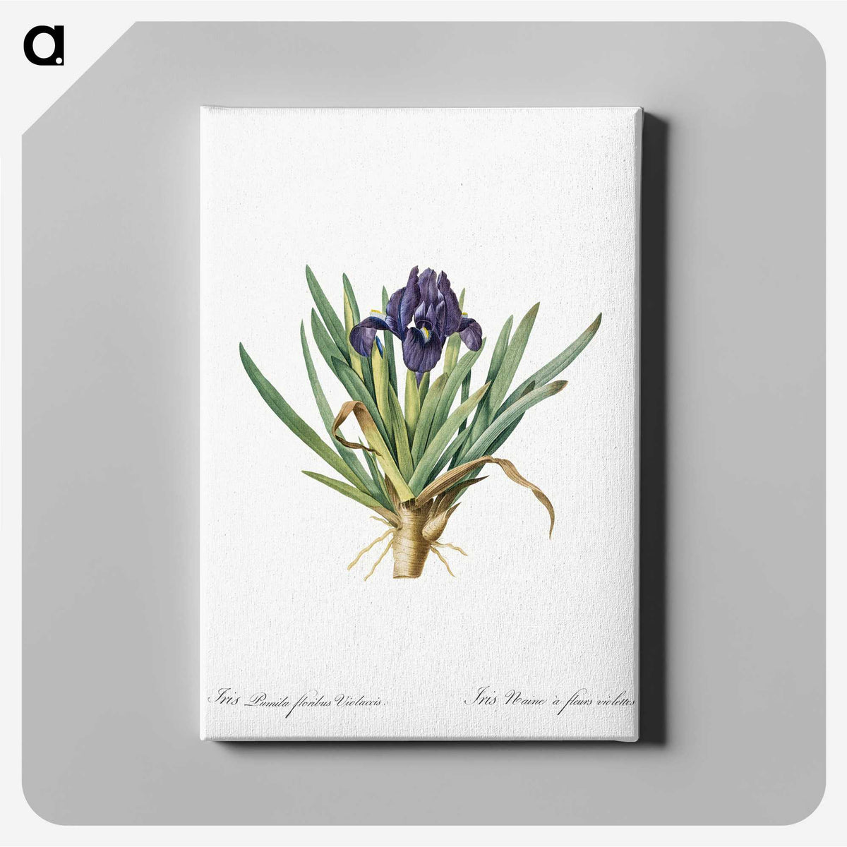 2-8_The-Lilies_canvas