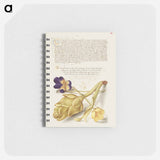 アートメモ帳-Wild Pansy and Artichoke from Mira Calligraphiae Monumenta
 - 書道のお手本 Memo.