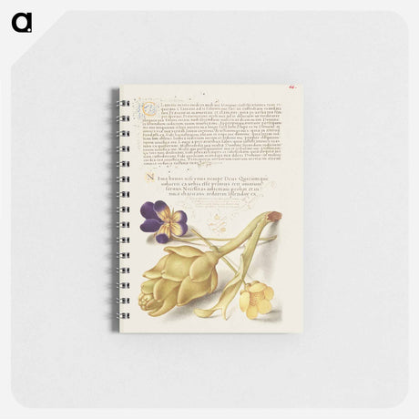 アートメモ帳-Wild Pansy and Artichoke from Mira Calligraphiae Monumenta
 - 書道のお手本 Memo.