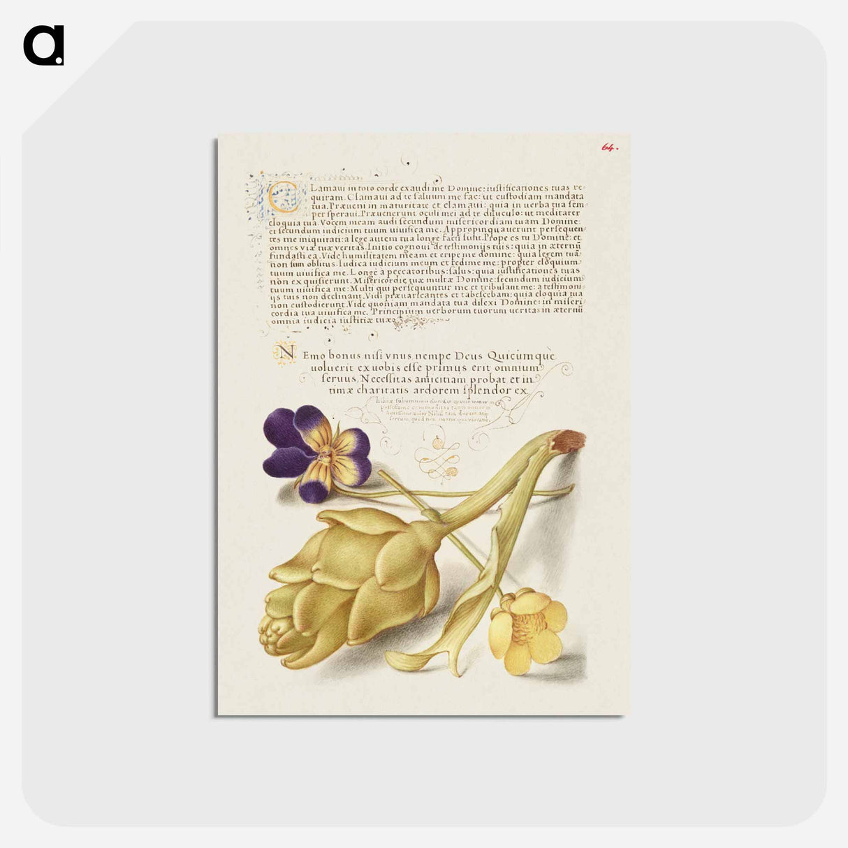 アートポストカード-Wild Pansy and Artichoke from Mira Calligraphiae Monumenta
 - 書道のお手本 Postcard.