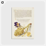 アートポストカード-Wild Pansy and Artichoke from Mira Calligraphiae Monumenta
 - 書道のお手本 Postcard.