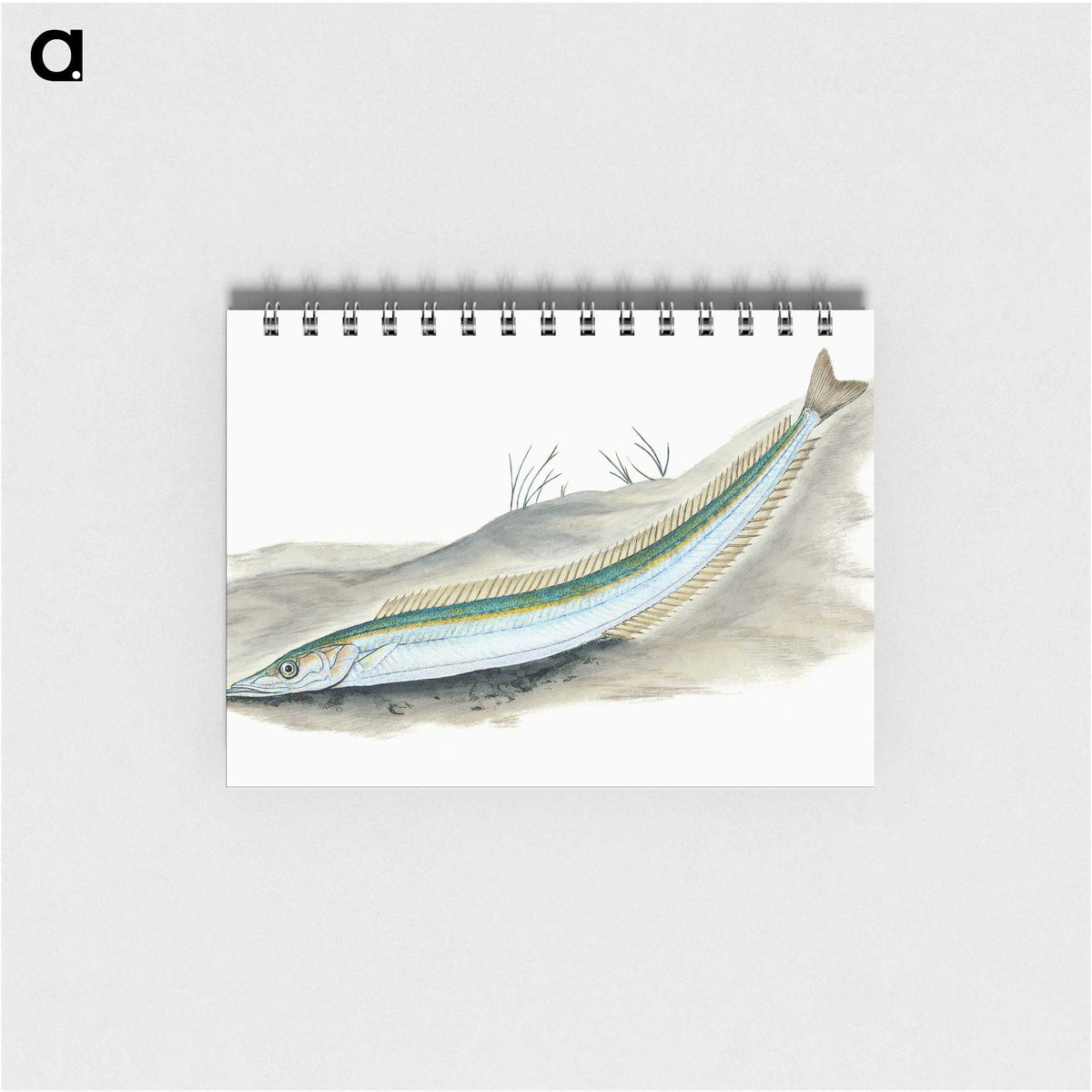 2-8_The-Natural-History-of-British-Fishes_memo