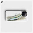 2-8_The-Natural-History-of-British-Fishes_phone