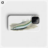 2-8_The-Natural-History-of-British-Fishes_phone