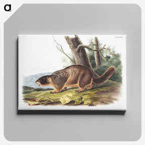 2-8_The-Viviparous-Quadrupeds_canvas