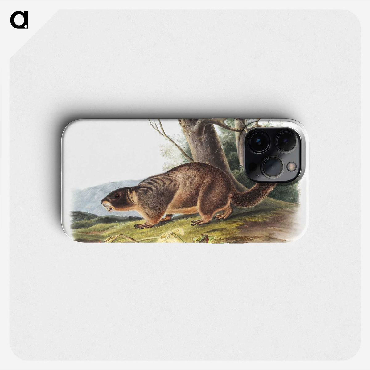 2-8_The-Viviparous-Quadrupeds_phone