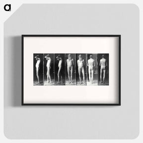 アートポスター-Portrait of an old man in the nude - トーマス エイキンズ Poster.