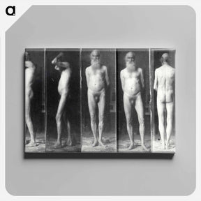 アートパネル-Portrait of an old man in the nude - トーマス エイキンズ Canvas.