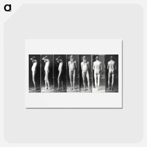 アートポストカード-Portrait of an old man in the nude - トーマス エイキンズ Postcard.